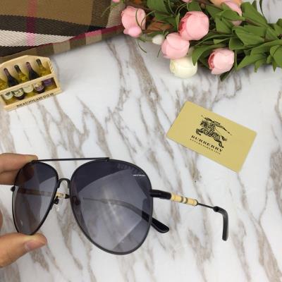 Burberry Sunglasses-491